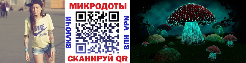 Псилоцибиновые грибы мицелий  Обнинск 